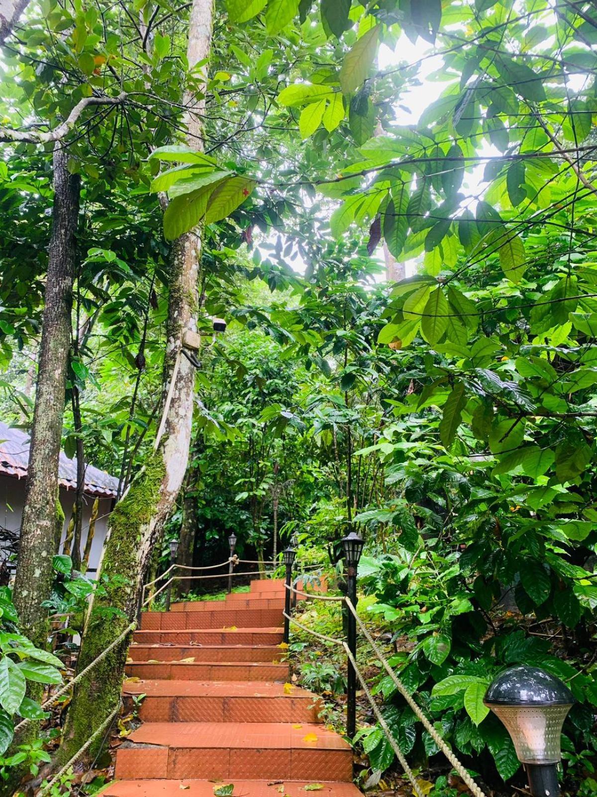 The Mountain Shades Resort Madikeri Dış mekan fotoğraf