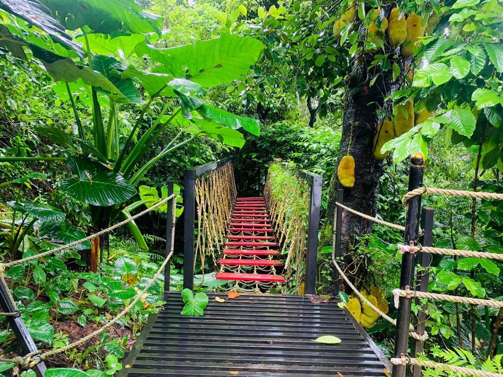 The Mountain Shades Resort Madikeri Dış mekan fotoğraf