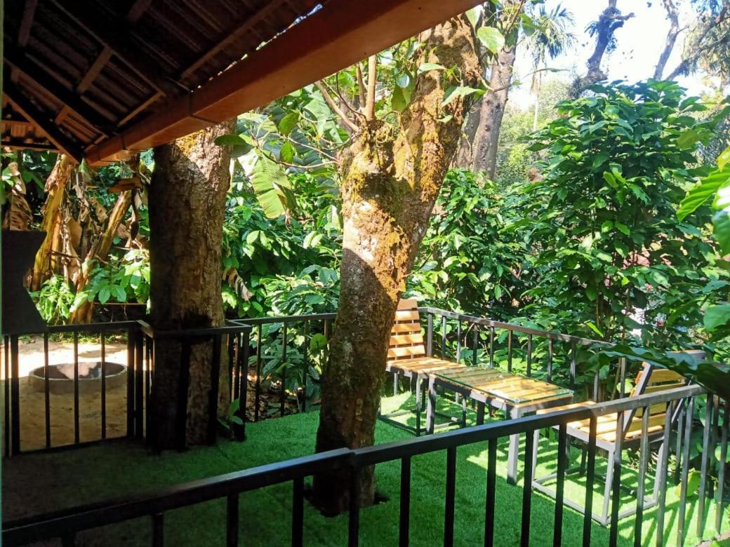 The Mountain Shades Resort Madikeri Dış mekan fotoğraf